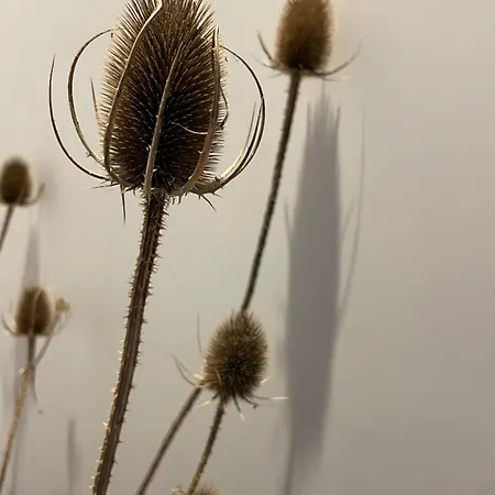 La Traversee Guest house *