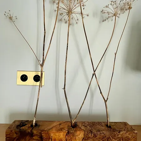 La Traversee Guest house *